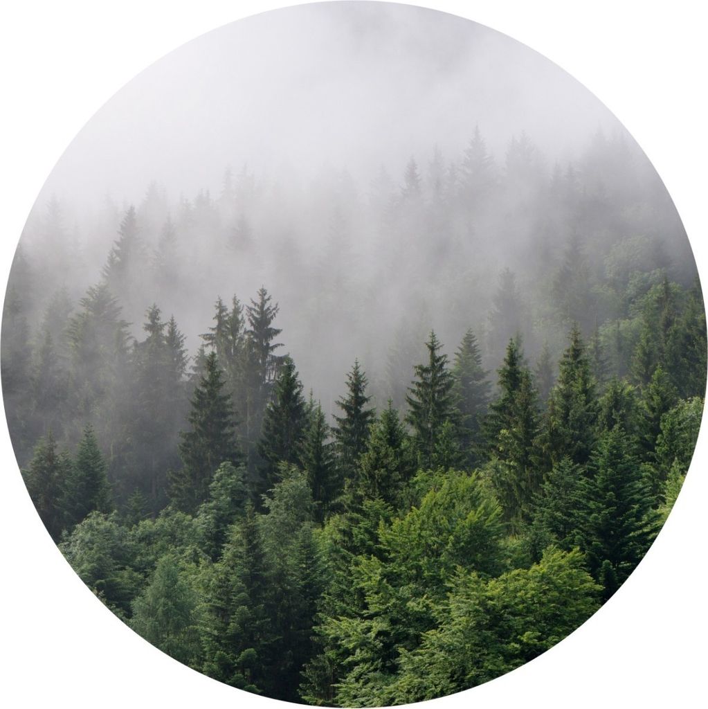 Sticker Kreis BÄUME im Nebel Wald Pflanzen Natur Grün Landschaft 3D Wanddeko Aufkleber Wandtattoo Wohnzimmer Esszimmer 100 cm x 100 cm