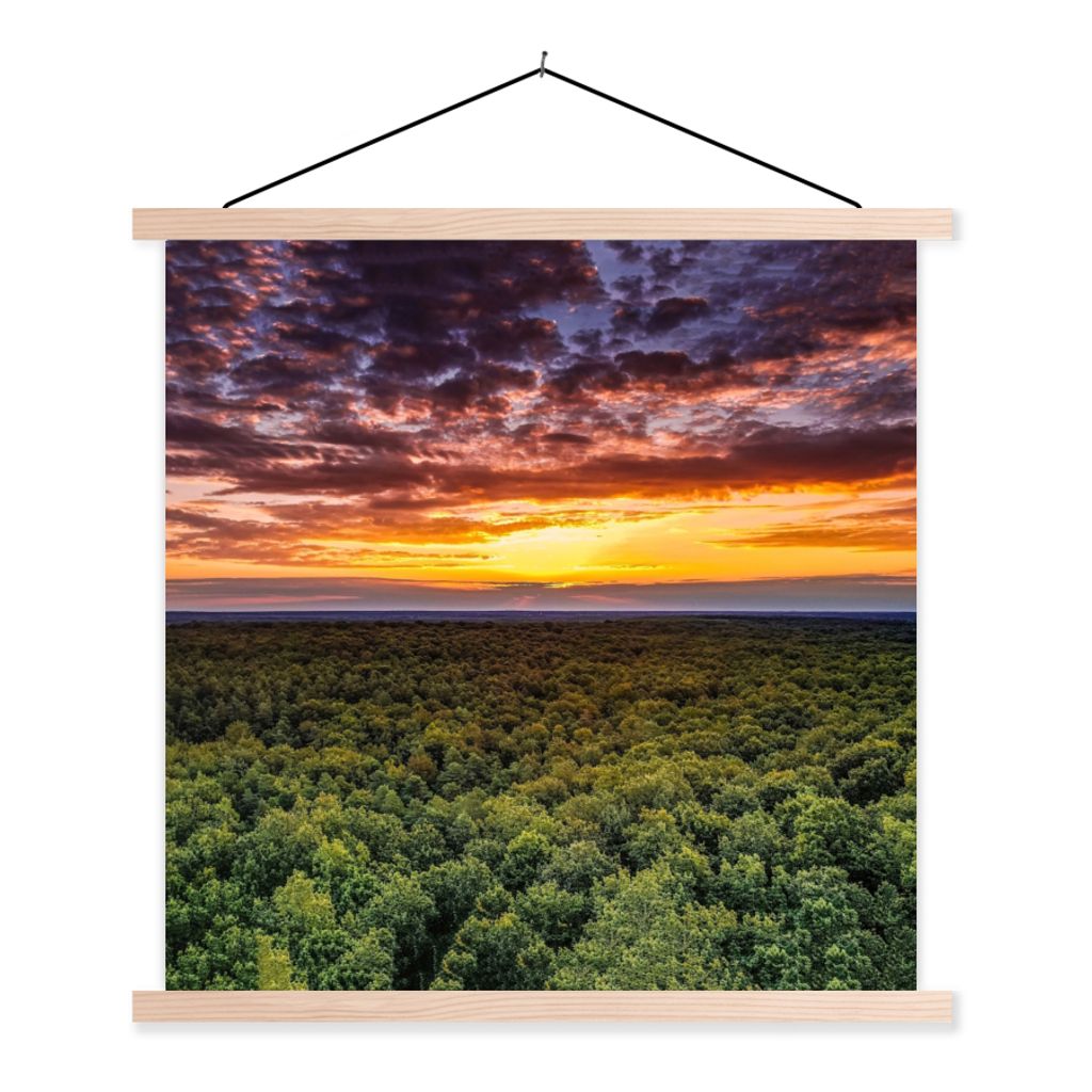 MuchoWow Textilposter Wald - Nacht - Himmel - Horizont - Bäume 40x40 cm mit holzfarbenen Rahmen - Posterleiste