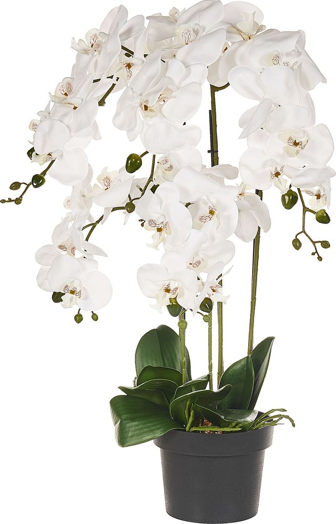 BELIANI Kunstpflanze Orchidee Weiß u. Grün 63 cm im Blumentopf Künstlich Indoor Dekoration Wohnaccessoires