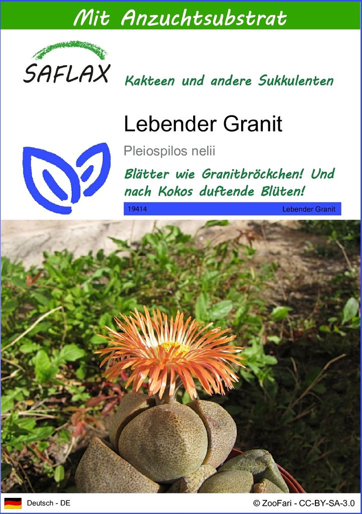 SAFLAX - Sukkulenten - Lebender Granit - 40 Samen - Mit keimfreiem Anzuchtsubstrat - Pleiospilos nelii