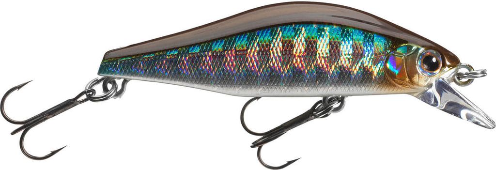 Daiwa Wobbler Tournament Wise Minnow 50FS Farbe Kibinago Länge 5,0cm Gewicht 5,2g