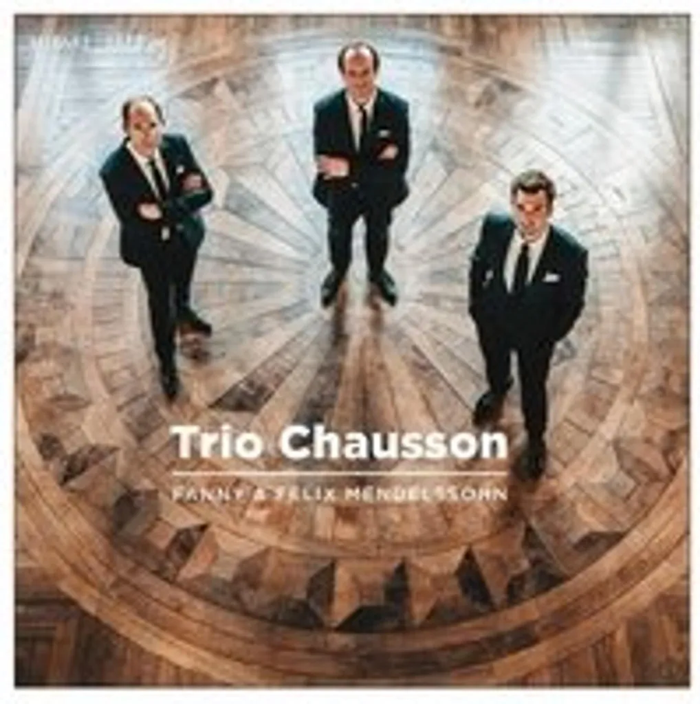 CD Trio Chausson Klaviertrios : Musique Relaxante pour Amateur de Piano