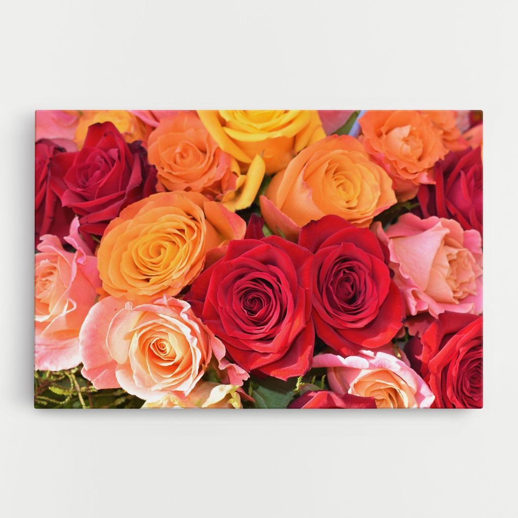 ARTHUB Leinwandbild 50x70 cm, Mixed Roses | Wohnzimmerdekoration, Hängende Bilder, Wanddekoration, Heimdekoration, Blumen, Rosen