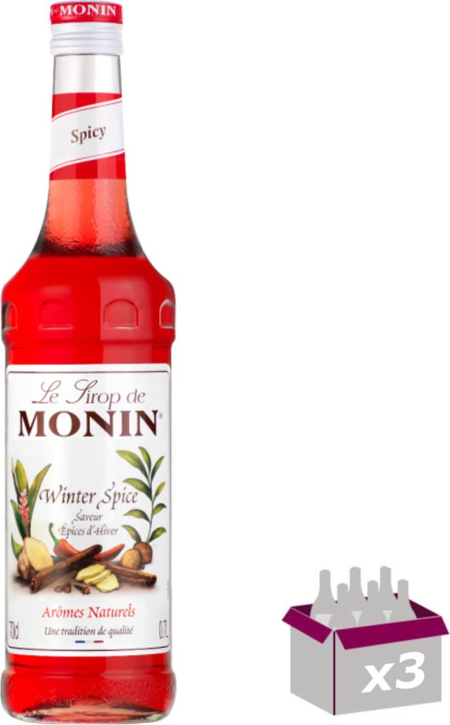 Lot de 3 Sirop Monin - Épices d'hiver - 70cL