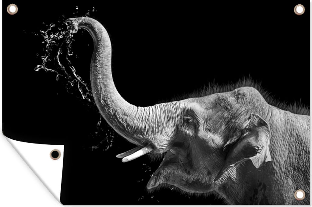 MuchoWow 120x80 cm Outdoor-Poster Gartendeko Sichtschutz Garten Poster für den Garten Porträt - Elefant - Tiere - Schwarz und weiß