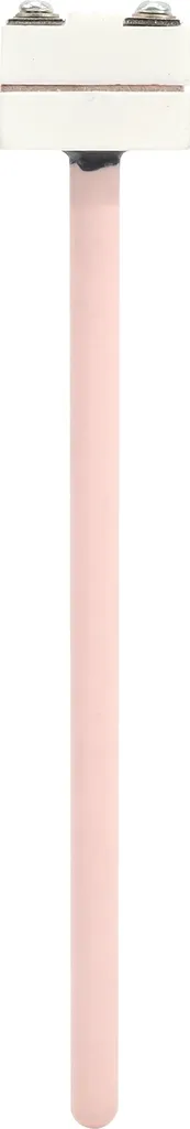 WRP100 Termocoppia al platino rodio di tipo St Sonda di temperatura resistente al calore (150 mm)