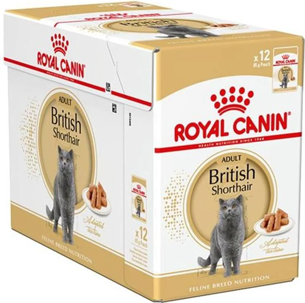 Royal Canin British Shorthair Adult 12 Bustine da 85g | Dieta in Salsa
