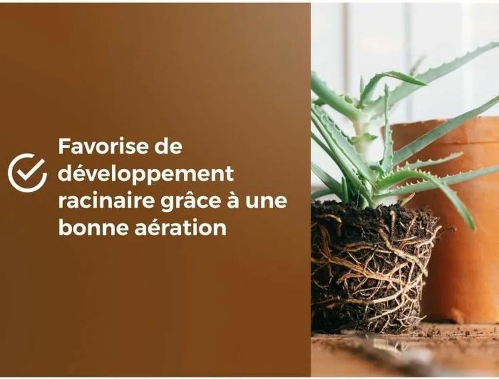 Terreau d'empotage Or Brun 6 L : Formule aérée avec rétention d'eau optimisée - 5