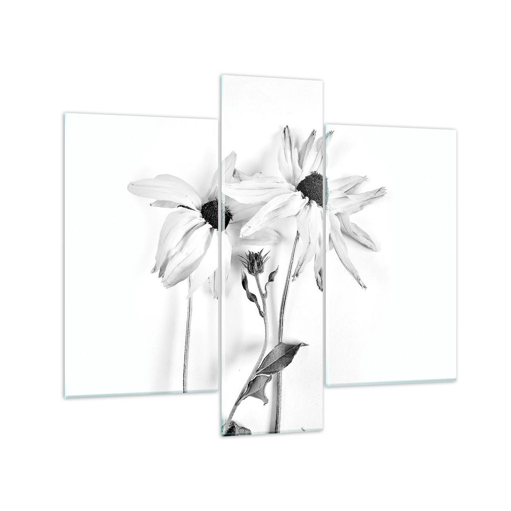 Bilder auf glas - 3 Teile - Verwelkt Blumen Monochrom - 95x80cm - Glasbilder - Wandbilder - Bilder - zum Aufhängen bereit - Wanddekoration aus Gla...
