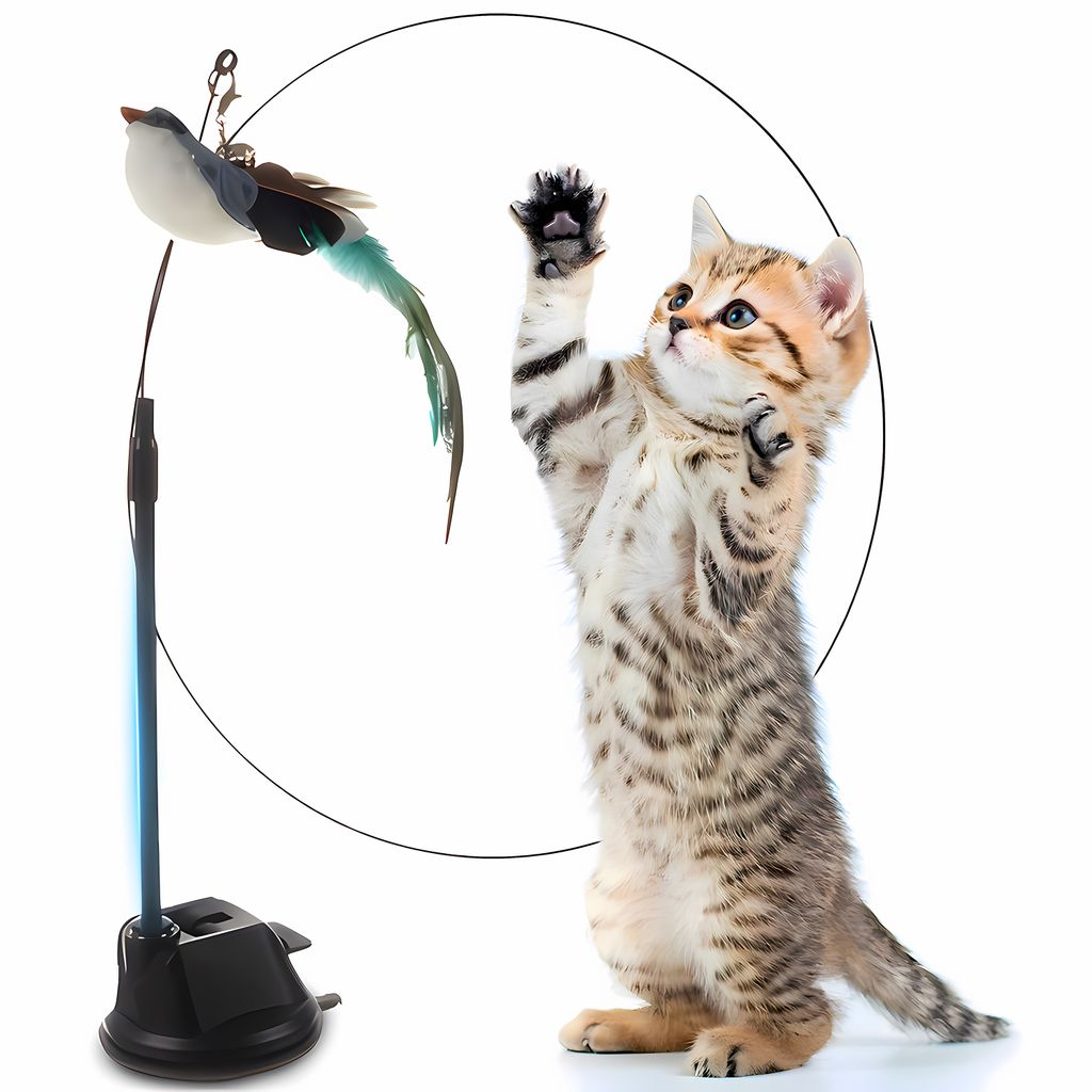 A kitten playing with a bird toy on a white background.