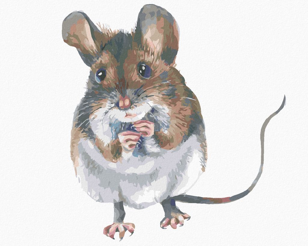 Zuty - Malen nach Zahlen - EINE BRAUNE MAUS, 40x50 cm, mit Keilrahmen (bereits gespannt)