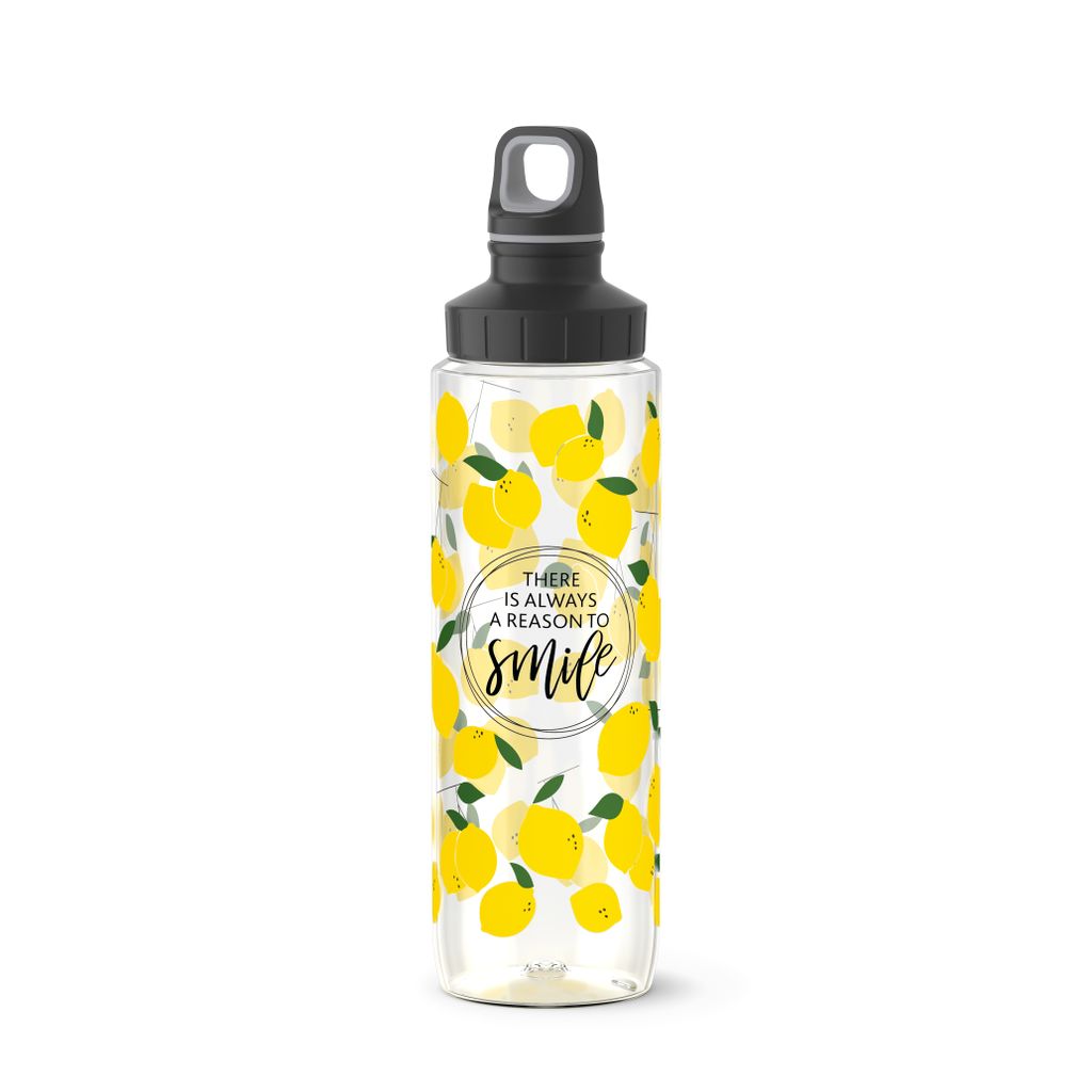Emsa DRINK2GO TRITAN TRINKFLASCHE 3110600473 4009049531700 Image du produit 