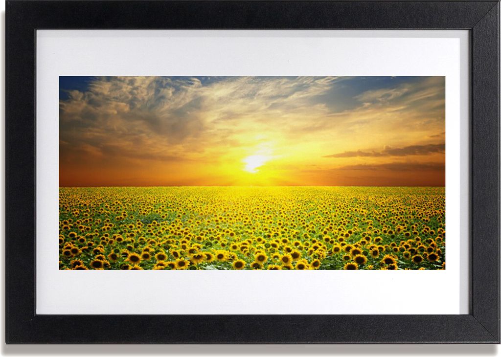 Bild 30x20 MDF-Rahmen Wandkunst Sun Wiese Sonnenblumen