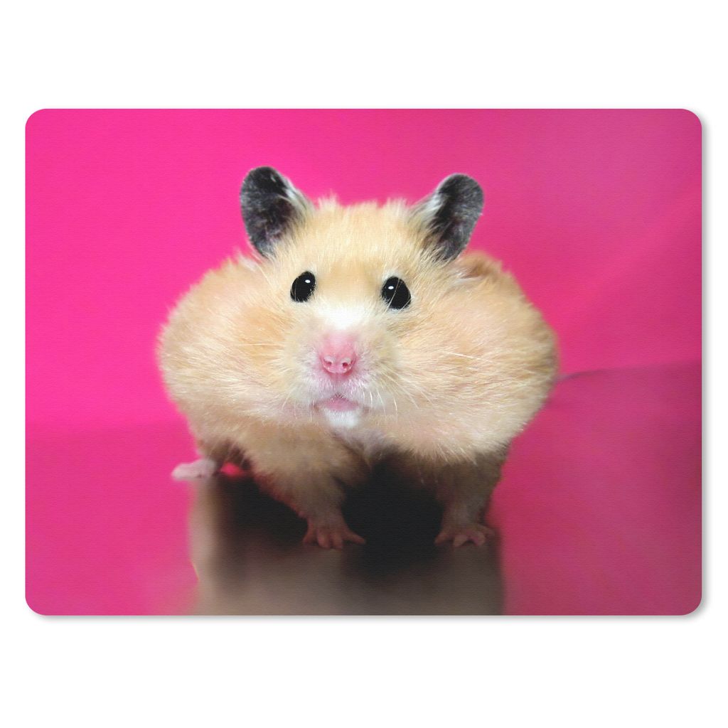 MuchoWow Mauspad Mousepad Hamster mit rosa Hintergrund 40x30 cm - Mousepads - Maus Mat - Pad - Mausunterlage - Anti Rutsch