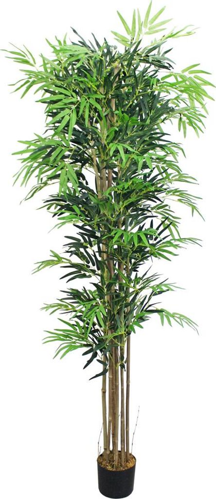 Bambou Grande Géant Plante Arbre Artificielle Artificiel Image du produit 