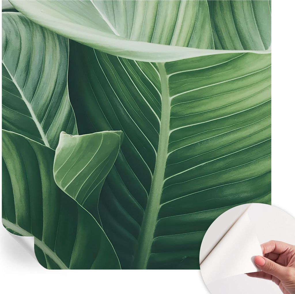 Selbstklebende Wandtapete - Dekorative Tapete für Wohnzimmer - Klebefolie für Wandbilder - Tapetenfolie für Wanddekoration - 250x250 cm - Grüne...