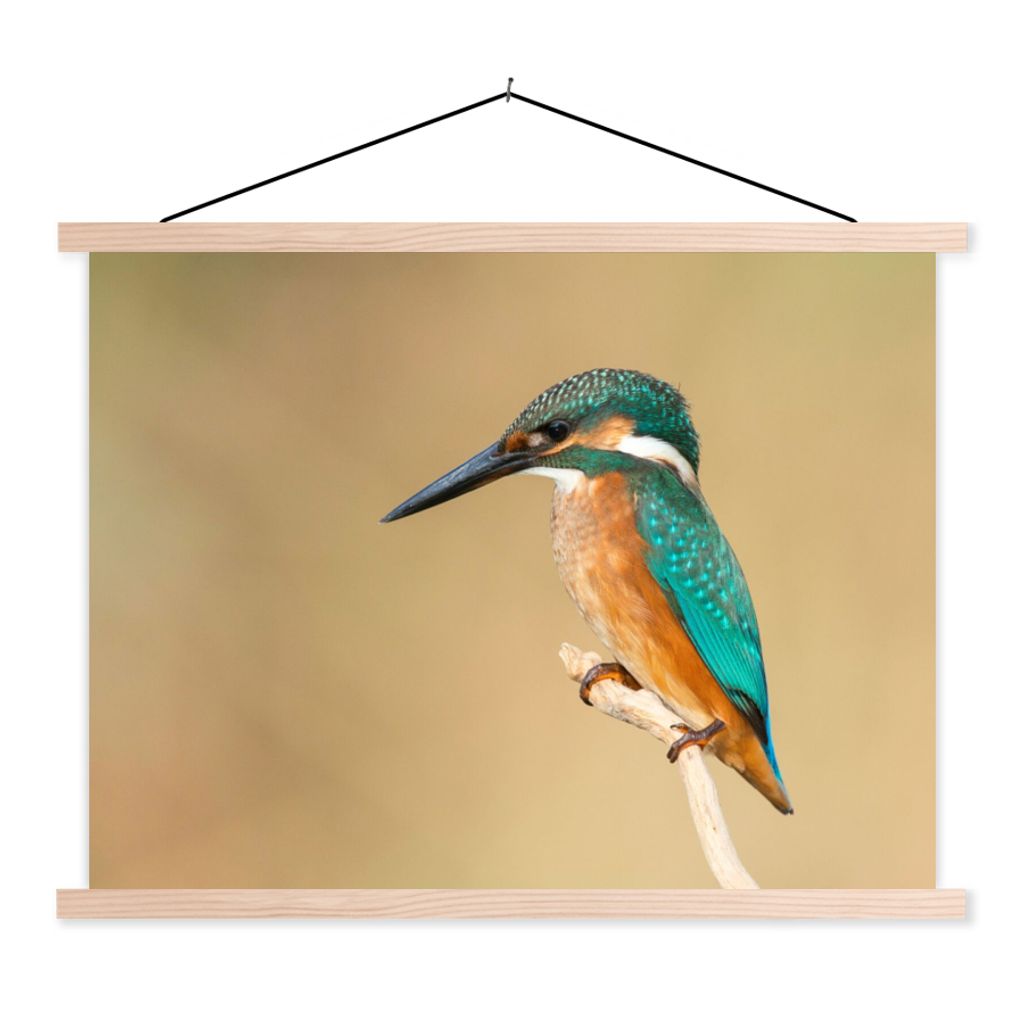 MuchoWow Textilposter Eisvogel - Tiere - Vogel 120x90 cm mit holzfarbenen Rahmen - Magnetisch