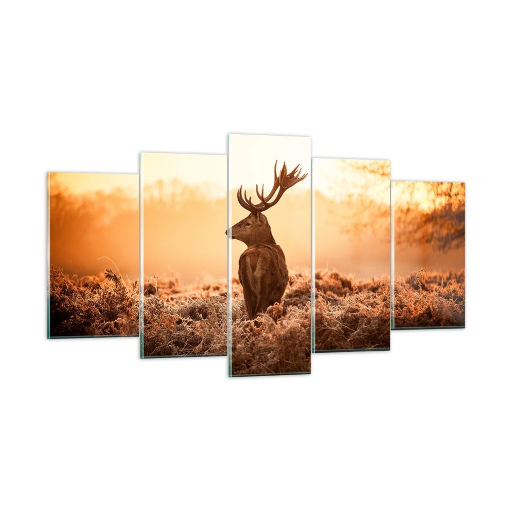 Bilder auf glas - Hirsch Natur Feld - 160x85cm - Glasbilder - Wandbilder - Kunstdruck - zum Aufhängen bereit - Wanddekoration aus Glas - Glas Bild...