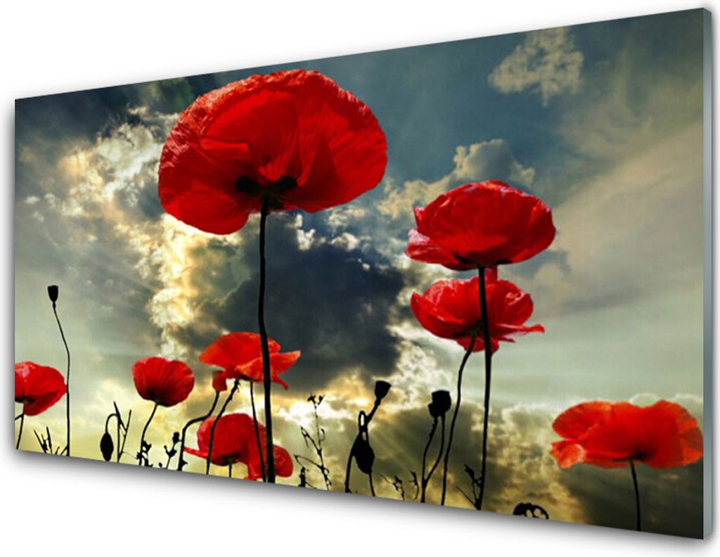 Acrylglasbilder 100x50 Wandbild Druck Mohnblumen Pflanzen