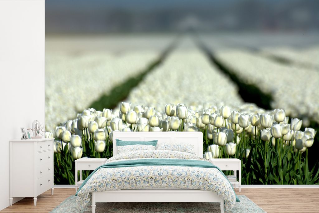 MuchoWow Fototapete für Wohnzimmer oder Schlafzimmer Wandtapete Vinyl Motivtapete Nahaufnahme eines Feldes voller weißer Tulpen - 420x280 cm - ...
