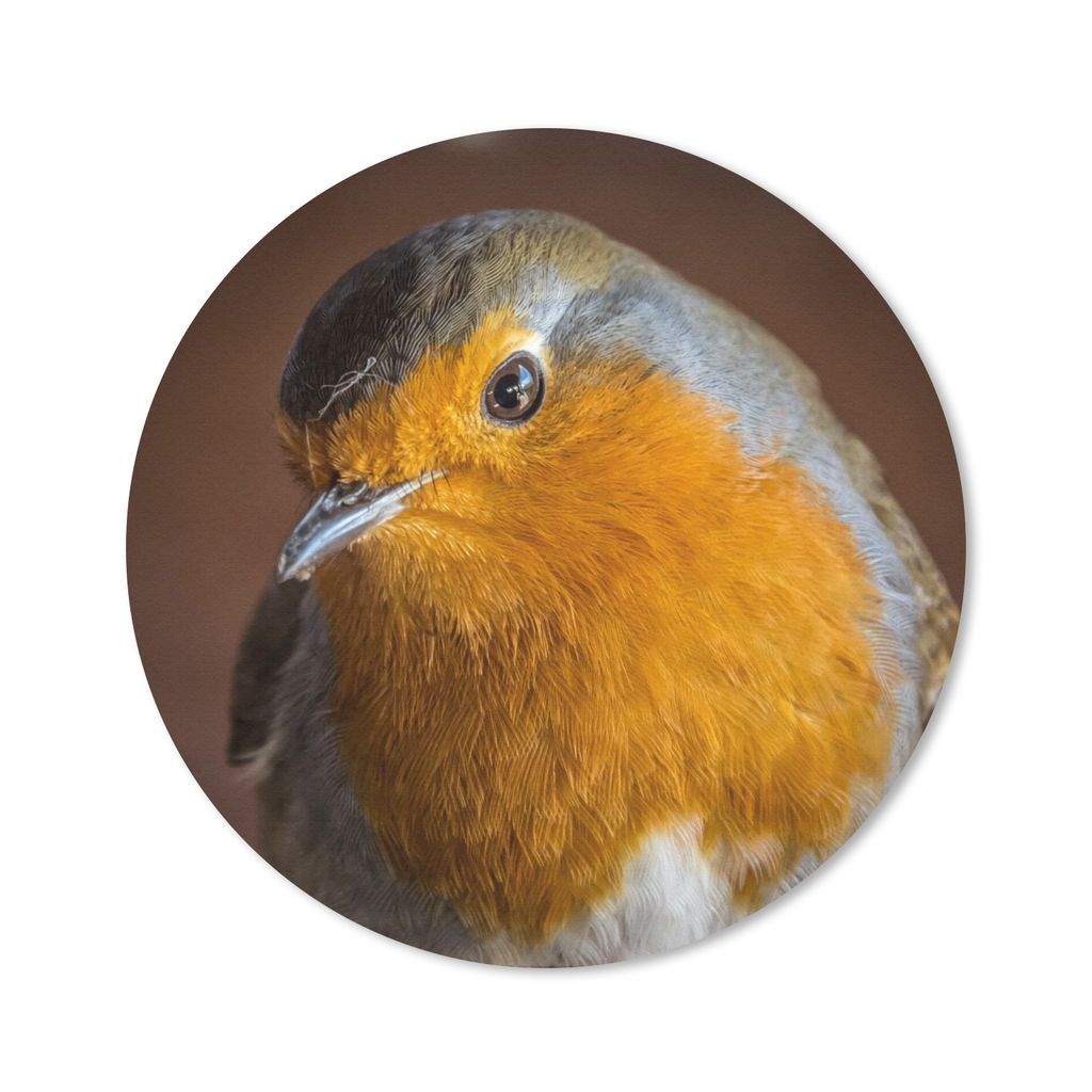 MuchoWow Mauspad Mousepad Rotkehlchen - Porträt - Vogel 50x50 cm - Mousepads - Maus Mat - Pad - Mausunterlage - Vinyl