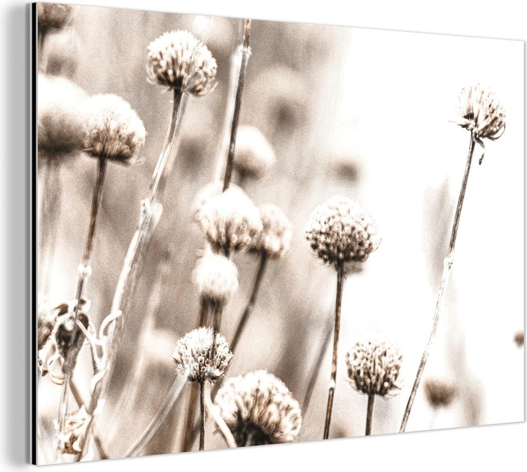 MuchoWow Wanddekoration Metall Metallbild Wandkunst 90x60 cm Blumen - Pflanzen - Stillleben - Natur MuchoWow Aluminium Gemälde - Wandbilder