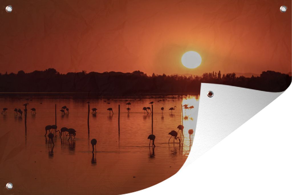 MuchoWow 60x40 cm Outdoor-Poster Gartendeko Sichtschutz Garten Poster für den Garten Sonnenuntergang mit Flamingos in der Camargue