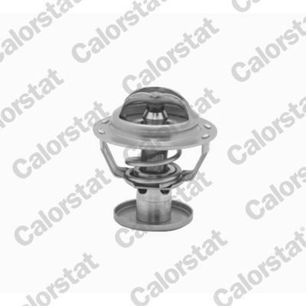 CALORSTAT by Vernet Thermostat + Dichtung