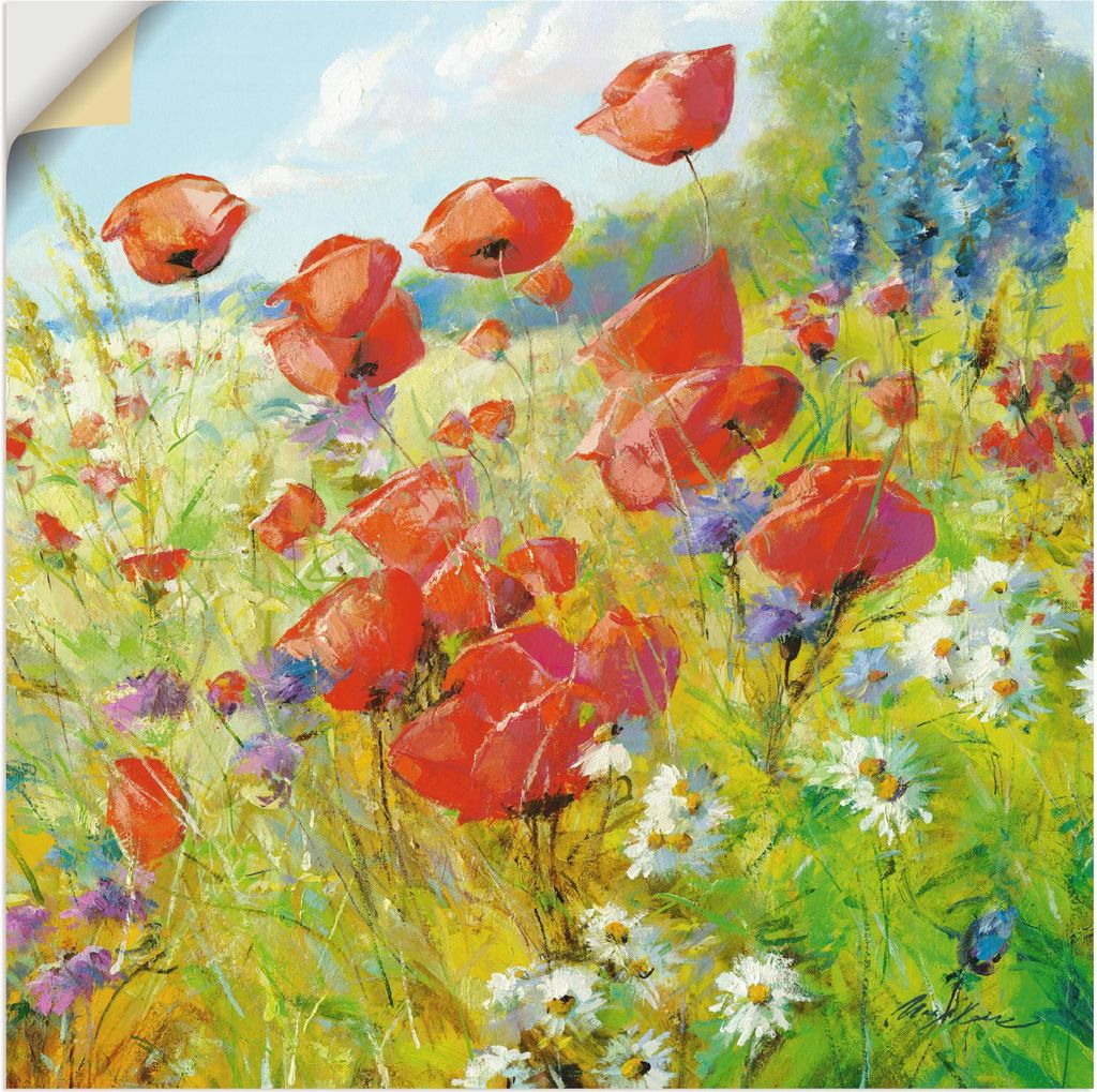 ARTland Wandbild, selbstklebend Sommerwiese mit Mohnblumen Größe: 100x100 cm
