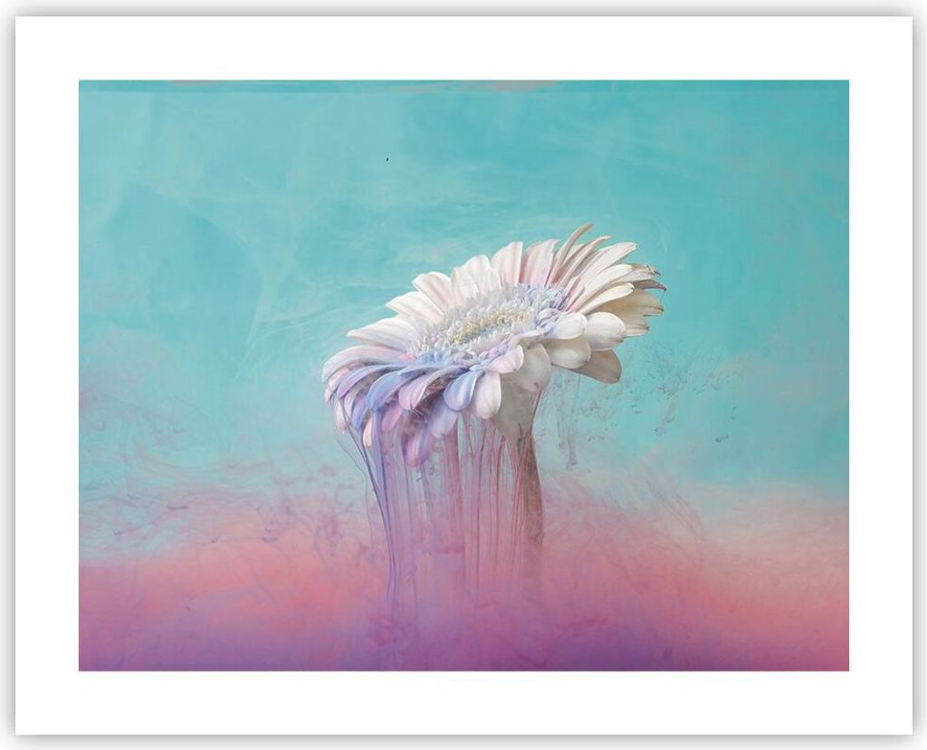 Poster - Poster ohne Rahmen - Modern Grafik Blume - 50x40 cm - Wand Bild - Wanddeko - Wandbilder - Kunstposter - Wandposter - Bilder - Kunstdruck -...
