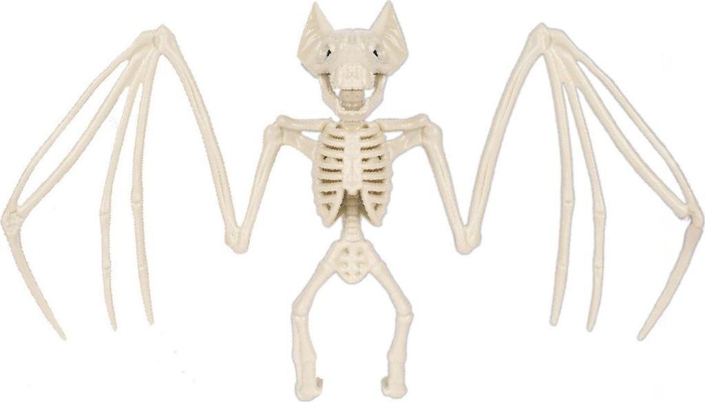 Halloween-Tierskelette, Hunde-, Fledermaus-, Frosch-, Skorpion-, Spinnen-, Schlangen-, Rattenknochen-Skelette für die Dekoration von Halloween-Par...