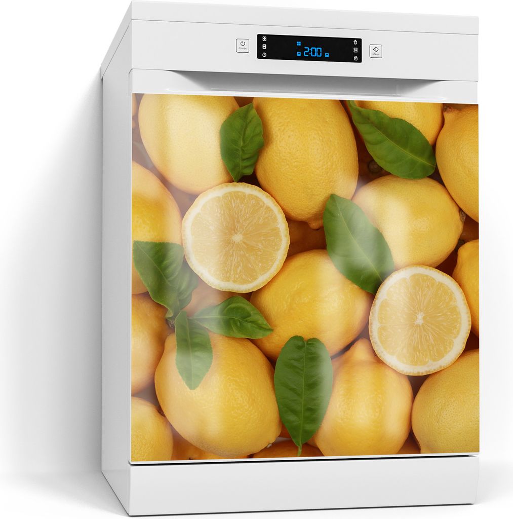 DEQORI Magnetmatte Spülmaschine Standard 60x60 cm 'Zitronige Lebendigkeit' Magnetfolie