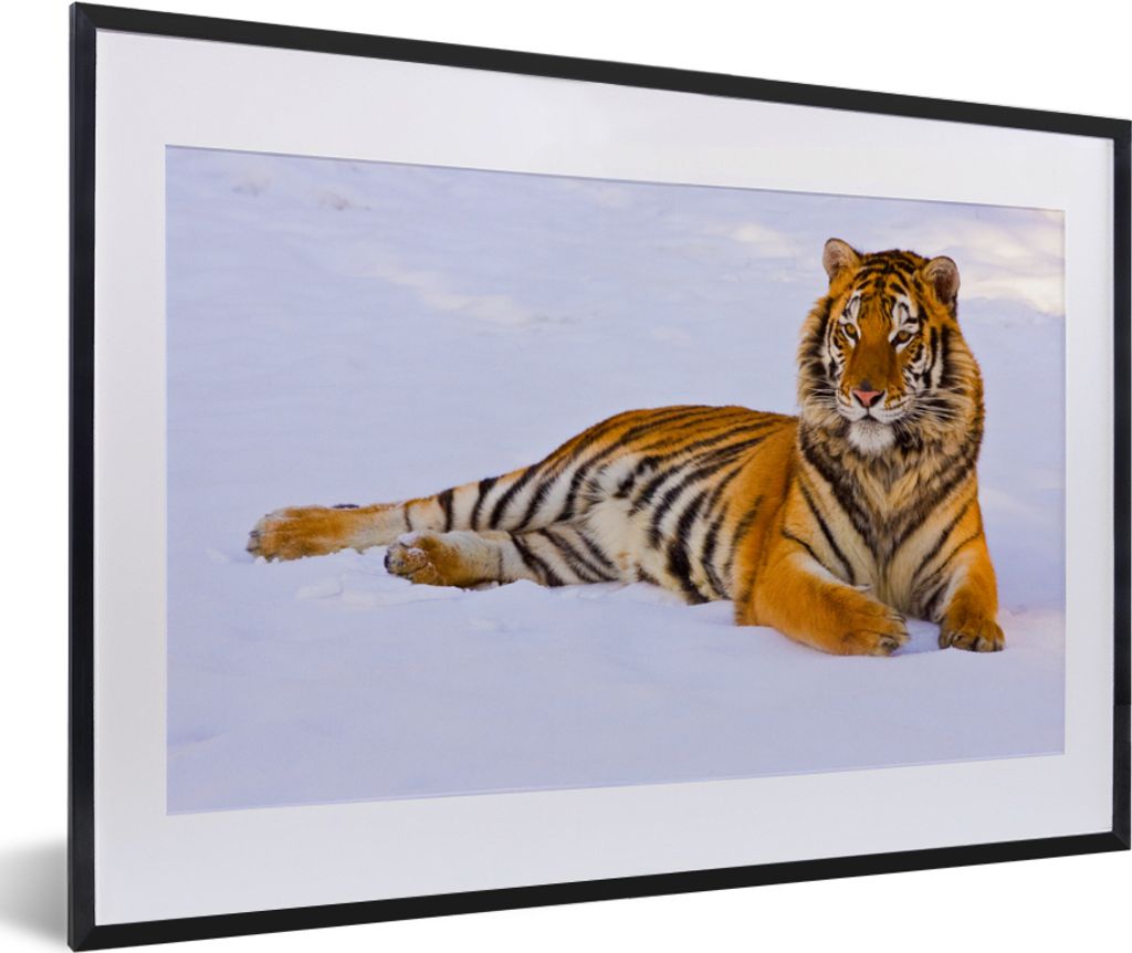 MuchoWow® Gerahmtes Poster Tiger - Schnee - Winter - Tiere Produktbild 
