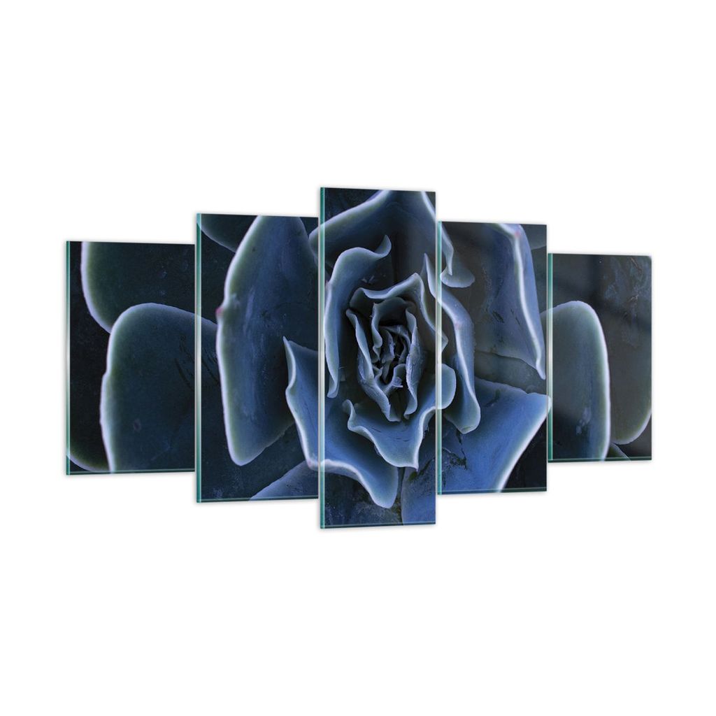 Bilder auf glas - 5 Teile - Blau Kaktus Blume - 160x85cm - Glasbilder - Wandbilder - Bilder - zum Aufhängen bereit - Wanddekoration aus Glas - Gla...