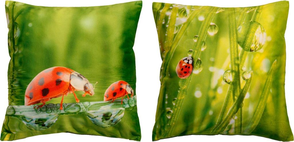 Kissenhülle Fotodruck Käfer Kurzplüsch 40x40