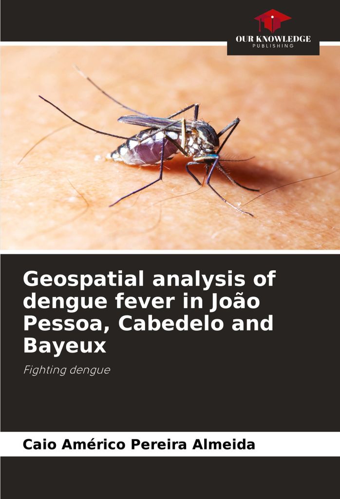 Geospatial analysis of dengue fever in João Pessoa, Cabedelo and Bayeux