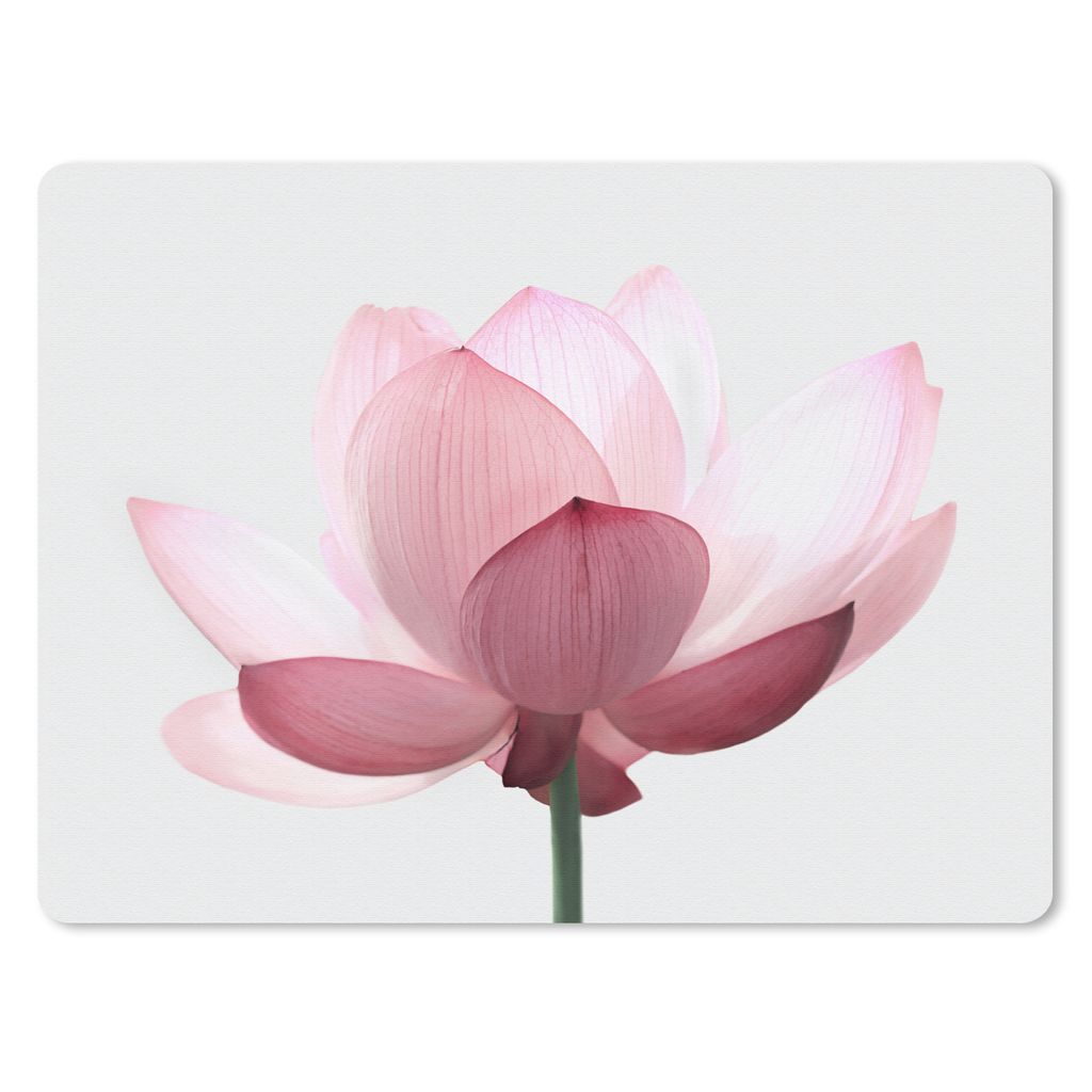 MuchoWow Mauspad Mousepad Blumen - Rosa - Natur - Botanisch 23x19 cm - Mousepads - Maus Mat - Pad - Mausunterlage - Schreibtischunterlage - Mauspad