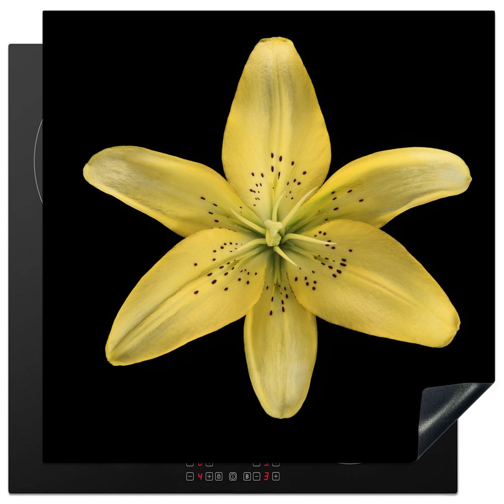 KitchenYeah Herdabdeckplatte Eine gelbe Lilienblüte auf schwarzem Hintergrund , 78x78cm, Küche Deko, Glaskeramikkochfeld Herdabdeckung, Abdeckp...