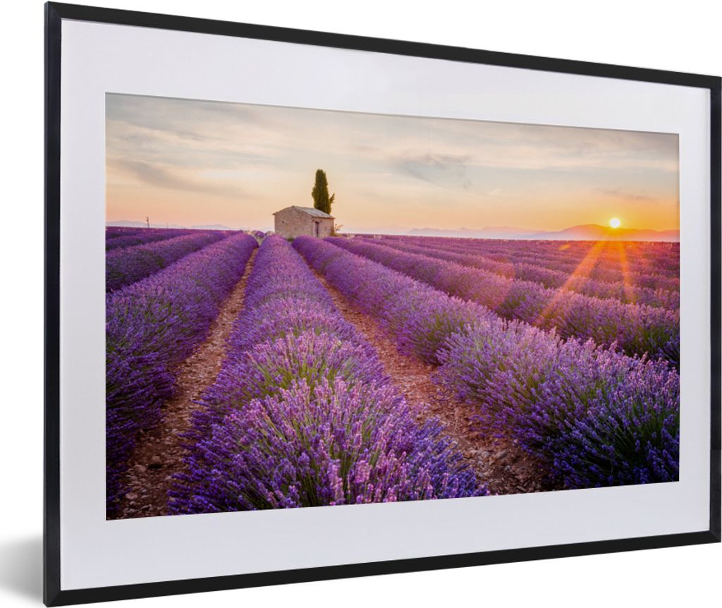 MuchoWow Gerahmtes Poster Lavendel - Sonnenuntergang - Blumen - Lila 60x40 cm - Poster mit Schwarzem Bilderrahmen Wandposter Rahmen Foto Bilder -...