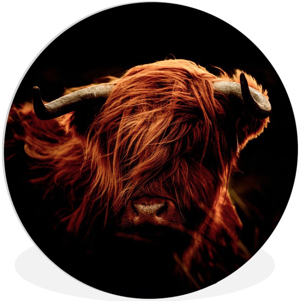 MuchoWow Rundes Wandbild - Runde Bilder Schottischer Highlander - Kuh - Hörner - Porträt - Tiere Ø 30 cm Kreis Wanddekoration Kunststoff - Wan...