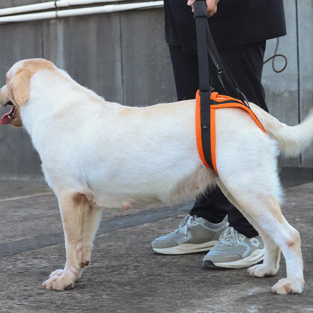 Pettorina INF Taglia L Sostegno Posteriore Cani - Ausilio Ortopedico - 6