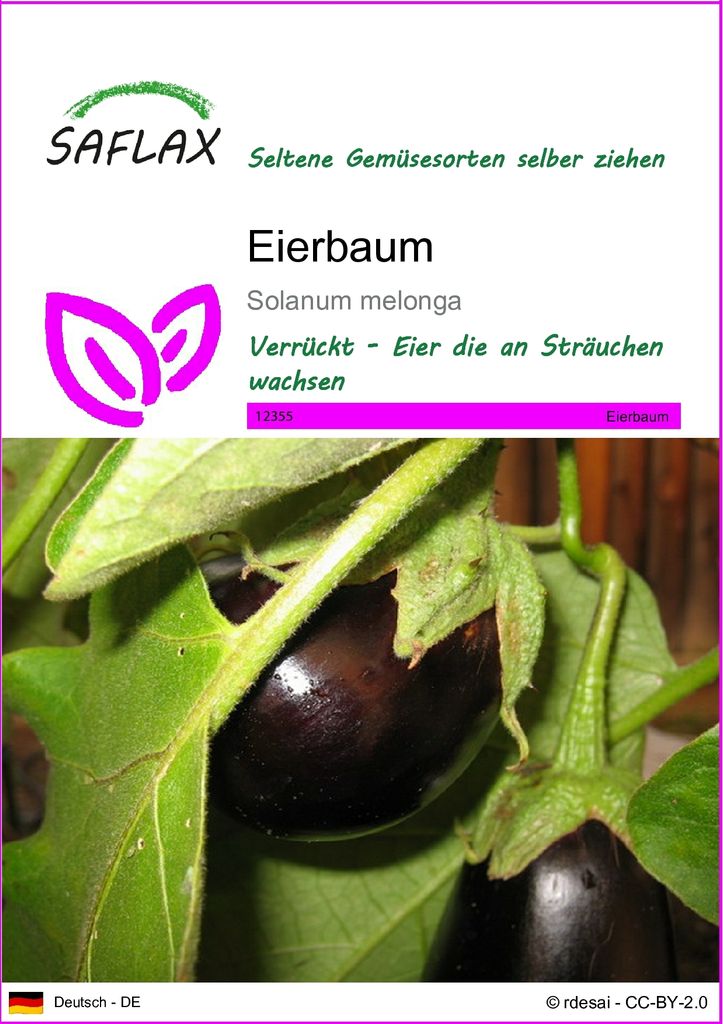 SAFLAX - Gemüse-Aubergine - Eierbaum - 20 Samen - Solanum melonga