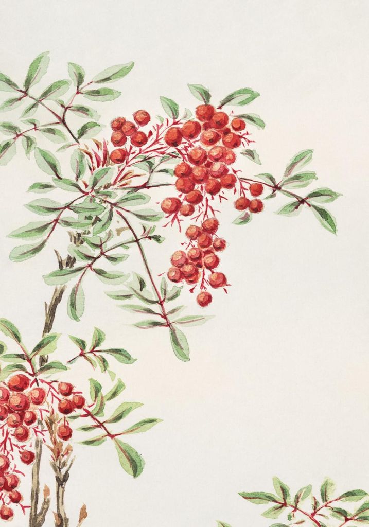 Plakat 70x100cm Nandina Busch, Japanische Morikaga Vintage für das Wohnzimmer