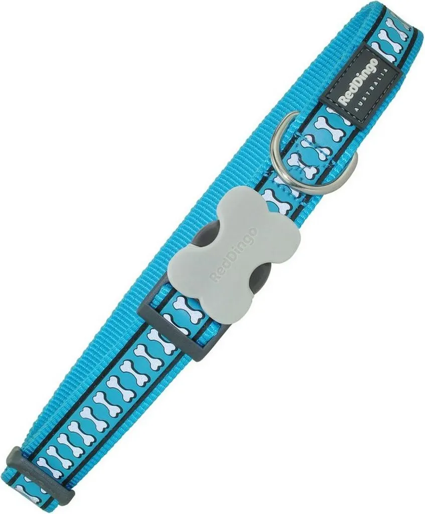 Proteggi il tuo Cane con il Collare Turchese Red Dingo Reflective
