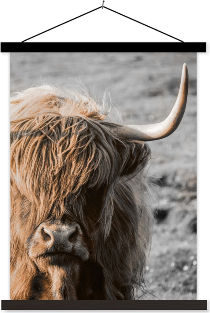 MuchoWow Textilposter Schottisches Hochlandrind - Tier - Porträt 40x53 cm mit schwarzem Rahmen - Abbildung