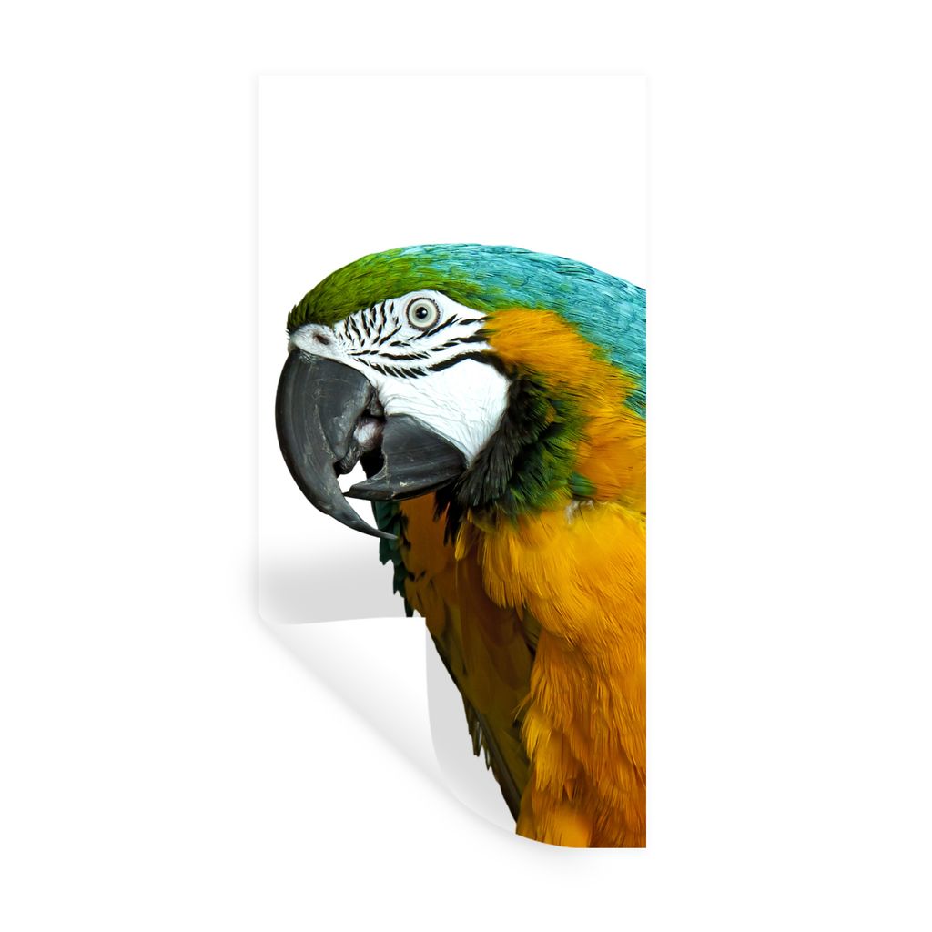 MuchoWow Wandtattoo Wandsticker Wandaufkleber Papagei - Vogel - Federn - Porträt 20x40 cm Selbstklebend und Repositionierbar - Selbstklebend - F...