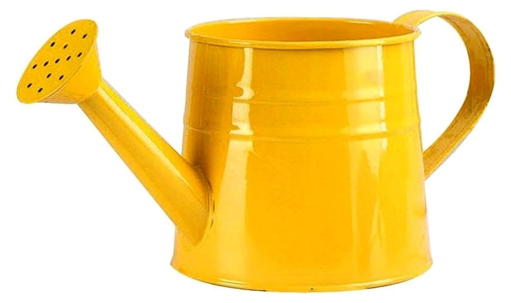 Gießkanne 1L mit Gießbrause für Zimmerpflanzen, Gartengießkanne mit langem Auslauf und Holzgriff, Blumengießkanne für Topfpflanzen und Sukkul...