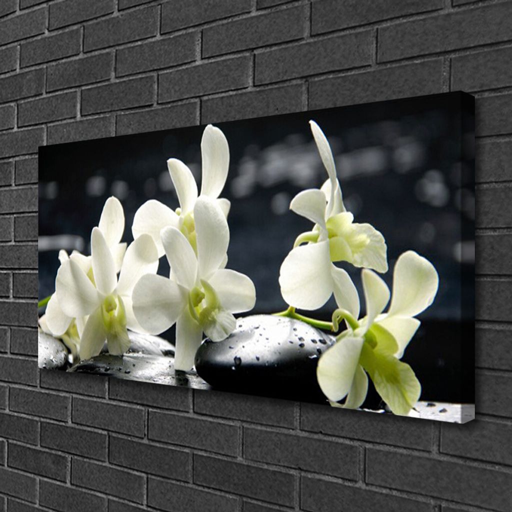 Tulup Leinwand-Bilder 100x50 Wandbild Canvas Kunstdruck Blumen Steine Pflanzen