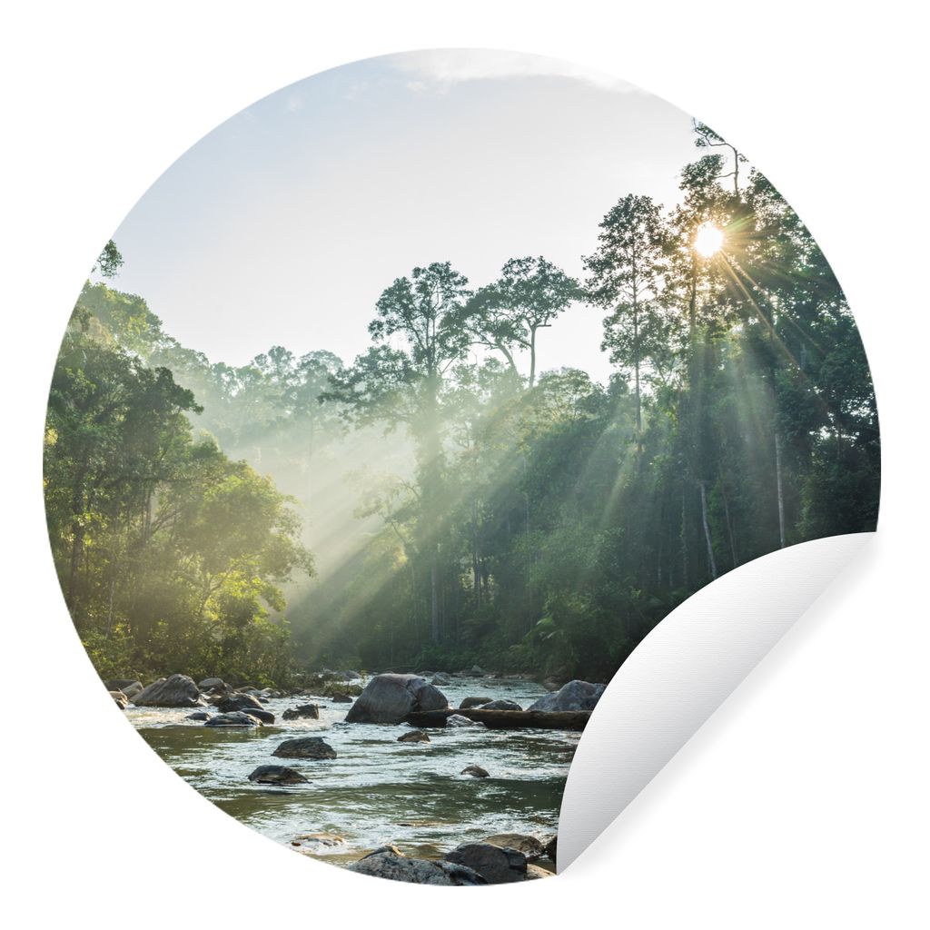 MuchoWow Runde Wandtattoo - Wandsticker Tapete Aufkleber Die Sonne scheint auf einen Fluss in einem malaysischen Wald Ø 80 cm Selbstklebend und ...