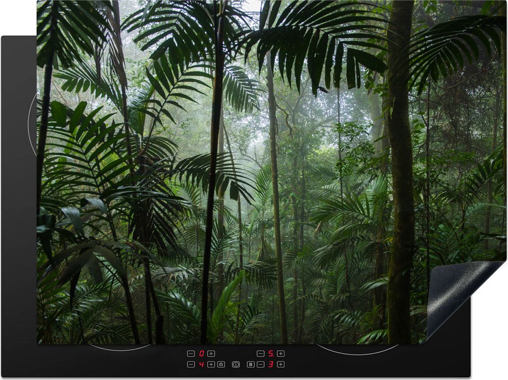 KitchenYeah Herdabdeckplatte Regenwald - Tropisch - Dschungel - Bäume - Pflanzen , 70x52cm, Küche Deko, Glaskeramikfeld Herdabdeckung, Abdeckpl...